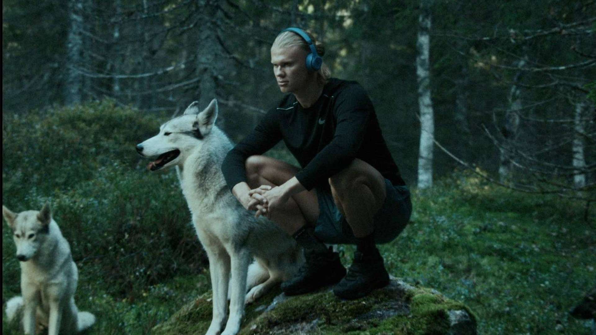 团队配合 团队配合